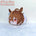 [IN STOCK] Ribbon Chestnut Horse‑Girl