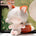10CM Orange Ears （White rubber band）