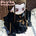 【PRESALE】20CM Doll Clothes Only