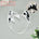 【INSTOCK】Black and White cats Combination
