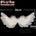 Swallow-shaped 36*16 Wings Only