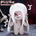 【PRESALE】20CM Doll Only-No Clothes