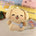 [IN STOCK] Spring‑outing Acrylic Charm