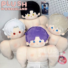 Load image into Gallery viewer, 【INSTOCK】PLUSH WONDERLAND Game Love and Deepspace Rafayel/ Zayne/Xavier/Sylus 40CM/ 20CM Doll Plushies Muscle Pillow
