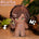 【PRESALE】20CM Doll Only-No Clothes