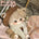 【INSTOCK】Heart Sweater 20CM Doll Clothes