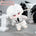 【In Stock】【SKELETON】20CM Doll With Clothes
