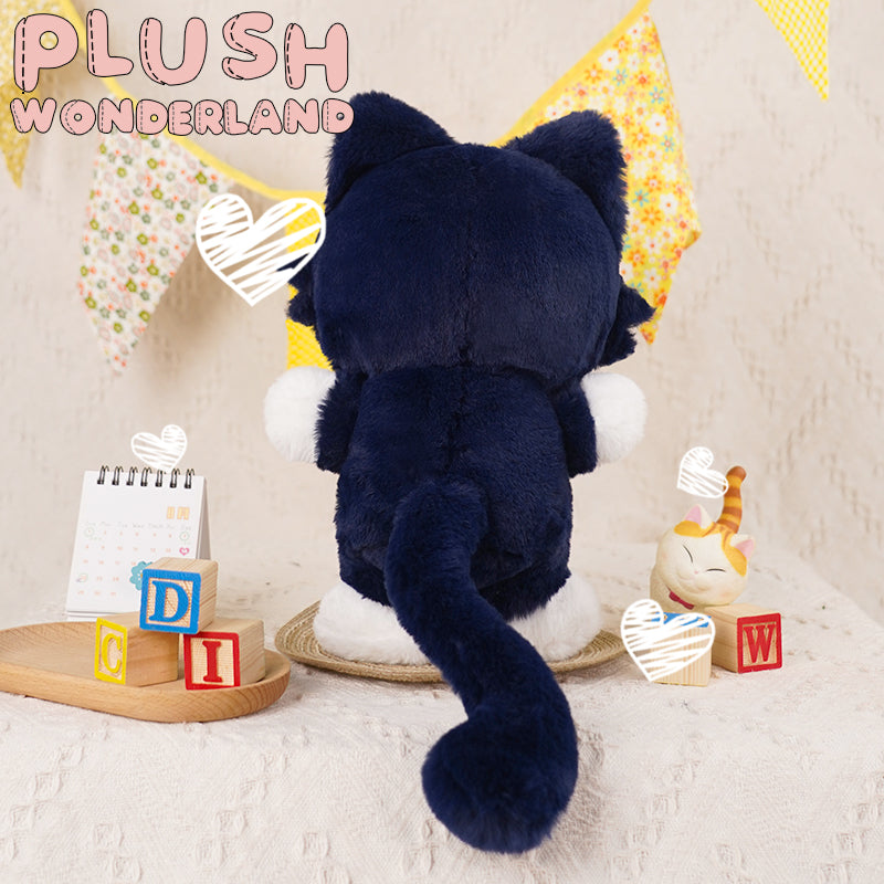 【Last Batch】【Only $5】【In Stock】PLUSH WONDERLAND Free wanderer  Cotton Doll Plush 20CM Wanderer Cat Plushies FANMADE