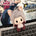 [IN STOCK] Silver‑Haired