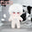 【In Stock】20CM Doll Only-No Clothes