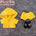 [PRESALE] 20CM Clothes Only-No Doll