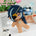【Ausverkauft】【SKELETT】Neue Puppe – ohne Kleidung