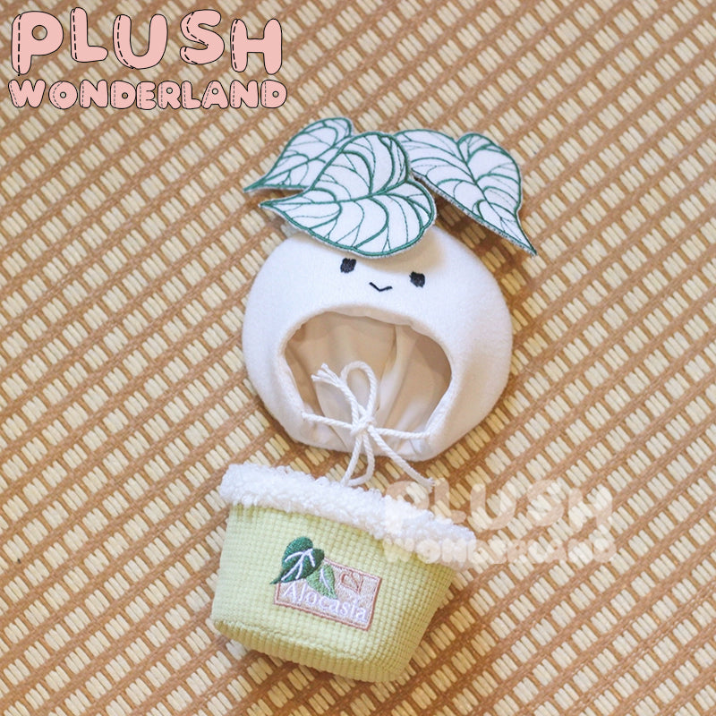【In Stock】PLUSH WONDERLAND Potted Plants 10CM Doll Clothes Plushie Ornaments