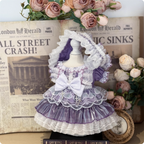 【IN STOCK】PLUSH WONDERLAND The Phantom Songbird Plushie 20CM Doll FANMADE