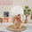 【Sold Out】Doll Only-No Clothes